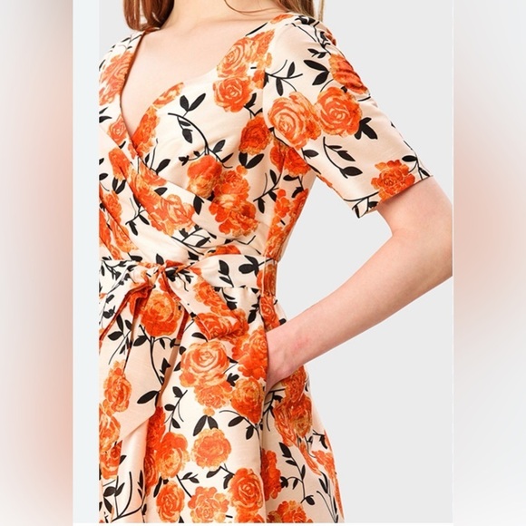 Wayward Fancies Dresses & Skirts - WAYWARD FANCIES eShakti Print Midi Wrap Dress size 1X